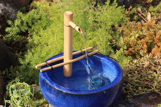 12 inch Adjustable Spout with Branch Arms and Pump Kit