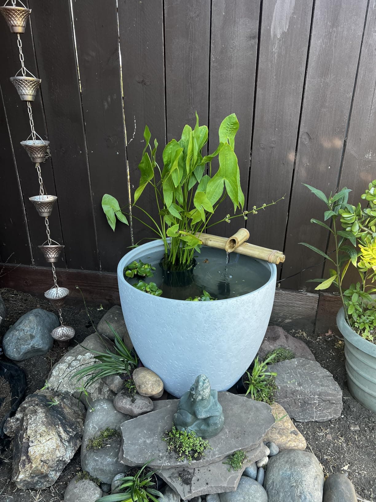 Customer bamboo fountain installation